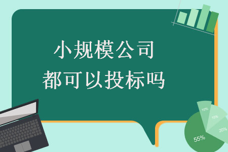 小规模公司都可以投标吗