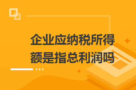 企业应纳税所得额是指总利润吗