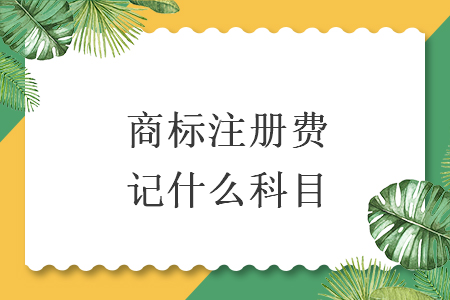 商标注册费记什么科目