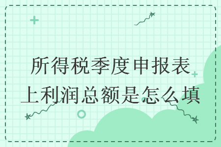 所得税季度申报表上利润总额是怎么填