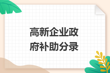 高新企业政府补助分录