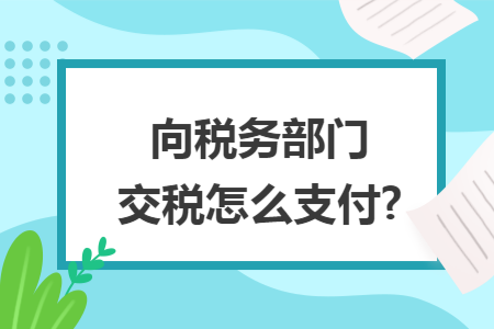 向税务部门交税怎么支付?